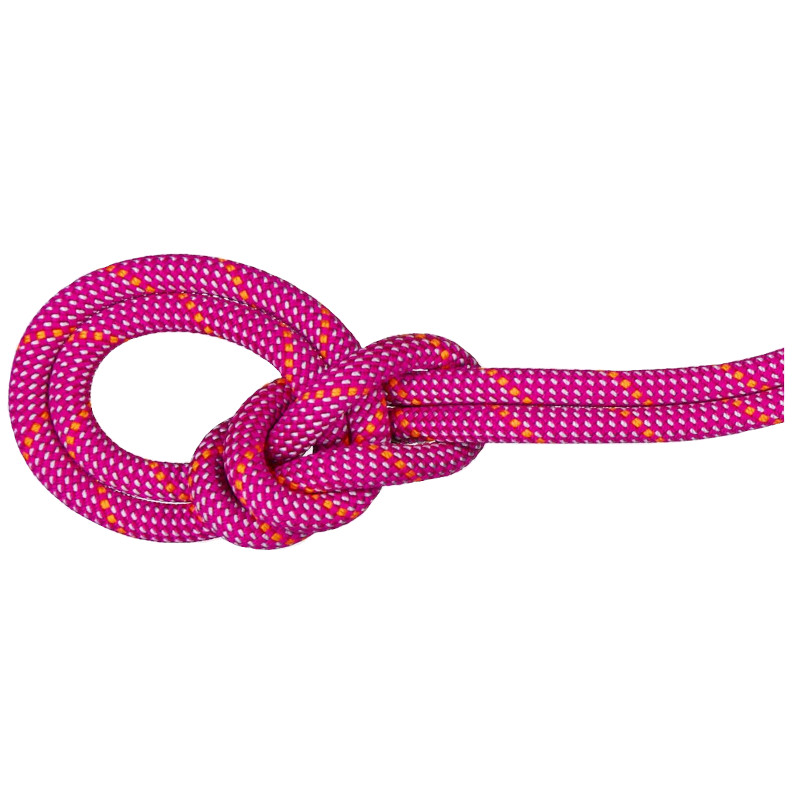 Mammut 9.5 Crag Dry Rope Dry Standard