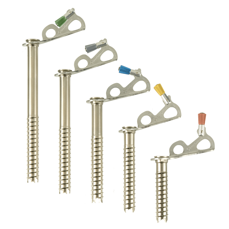 Black Diamond Express Ice Screw Eisschraube