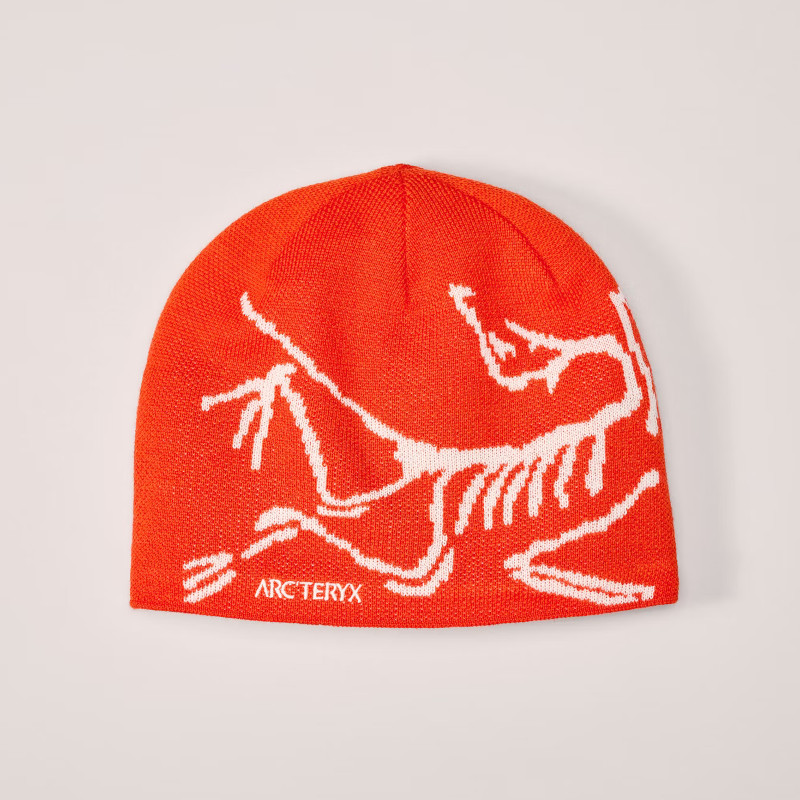 Arcteryx Bird Head Toque dynasty/arc silk