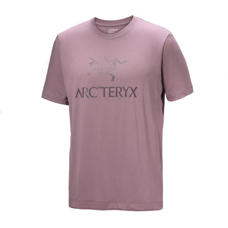 Arcteryx Arc Word Logo SS interstellar/phantasm L