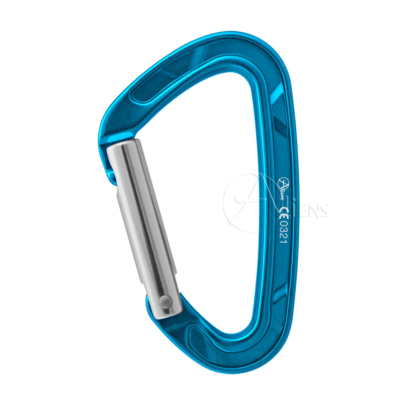 Aliens Alu D Straight Gate Classic Karabiner hellblau