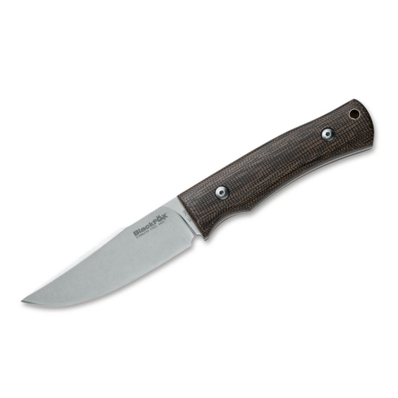 BlackFox Explorator