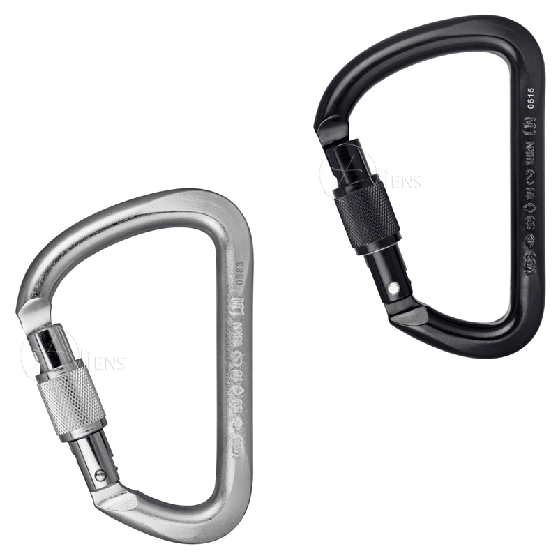 Aliens Karabiner Stahl D Screw Keylock